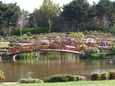 dscf4826.jpg