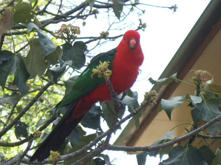 dscf5359.jpg