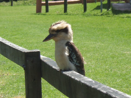 dscf5399.jpg