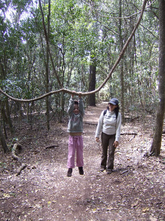 dscf5423.jpg