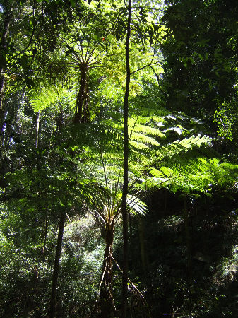 dscf5431.jpg