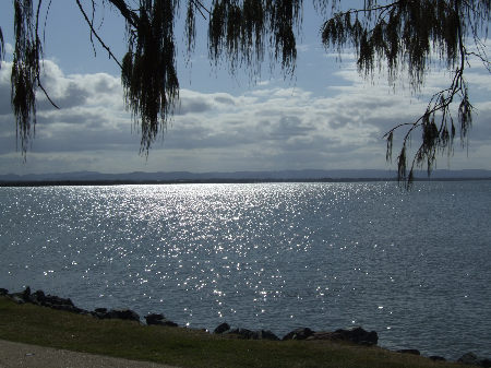 dscf5479.jpg