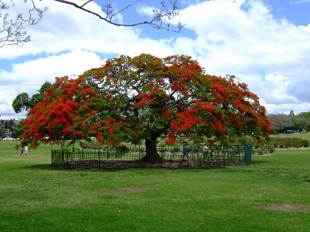 dscf5786.jpg