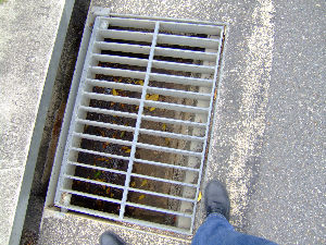 dscf5977.jpg