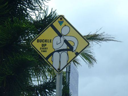 dscf6247.jpg