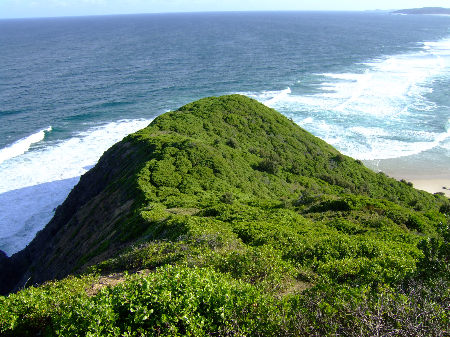 dscf6283.jpg