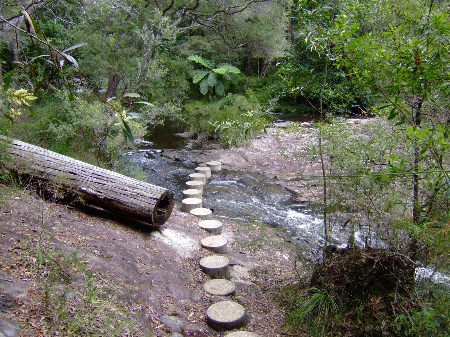 dscf6355.jpg