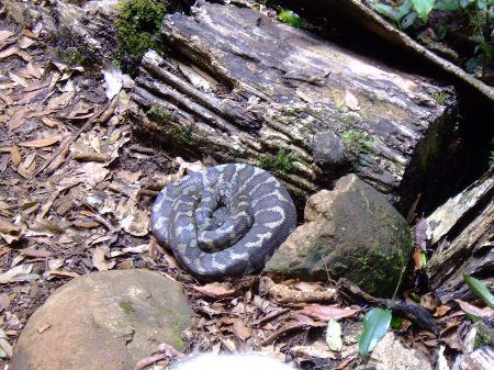 dscf6369.jpg