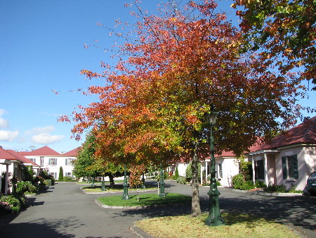 april2008_0093.jpg