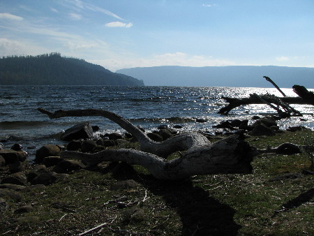 april2008_0169.jpg