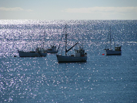 april2008_0436.jpg