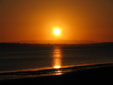 wellington5.jpg