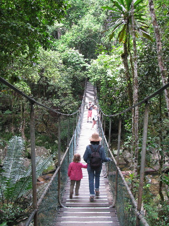 north_queensland23.jpg