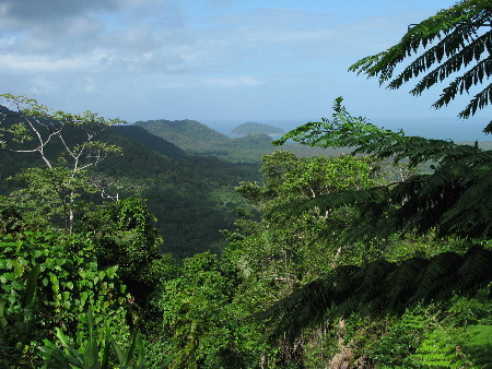 north_queensland25.jpg