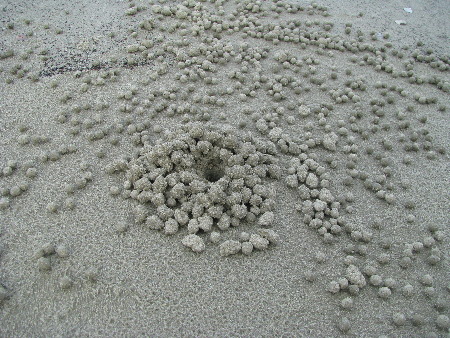 north_queensland34.jpg