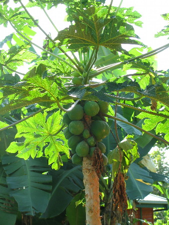 north_queensland36.jpg