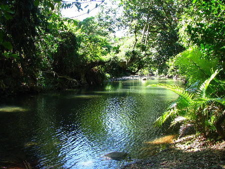 north_queensland37.jpg