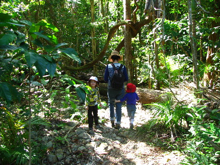 north_queensland40.jpg