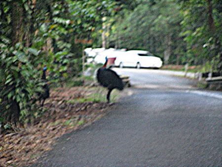 north_queensland42.jpg