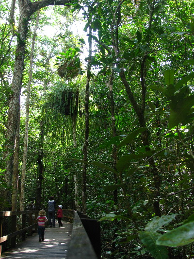 north_queensland44.jpg
