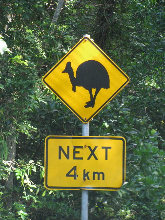 north_queensland46.jpg