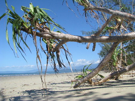 north_queensland47.jpg