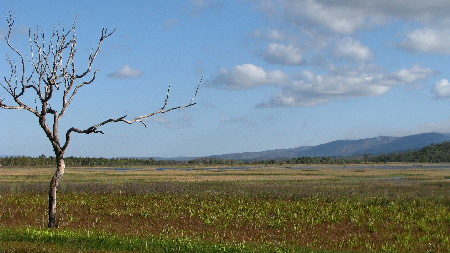 north_queensland50.jpg