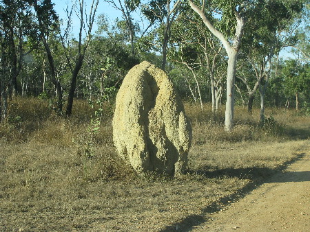 north_queensland52.jpg