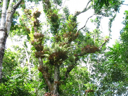 north_queensland57.jpg