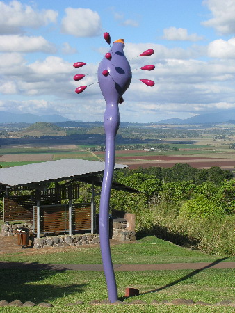 north_queensland59.jpg