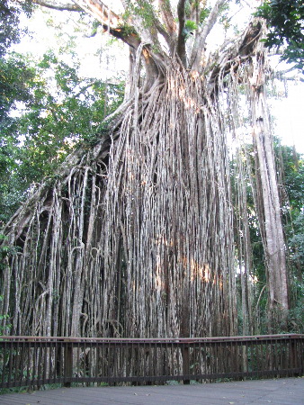 north_queensland61.jpg