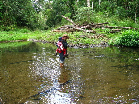 north_queensland67.jpg