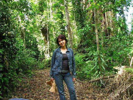 north_queensland69.jpg