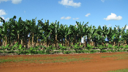 north_queensland71.jpg