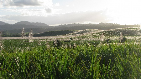 north_queensland75.jpg