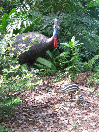 north_queensland77.jpg