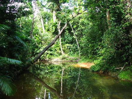 north_queensland80.jpg