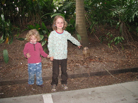 north_queensland83.jpg