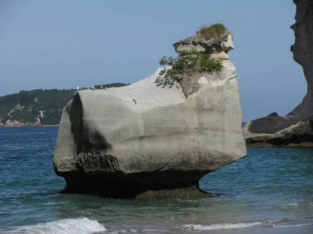 nz05.jpg