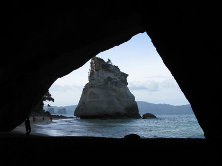 nz06.jpg