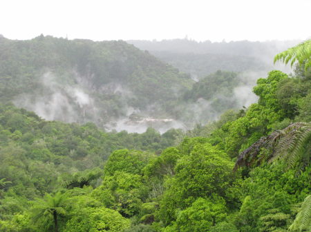 nz11.jpg