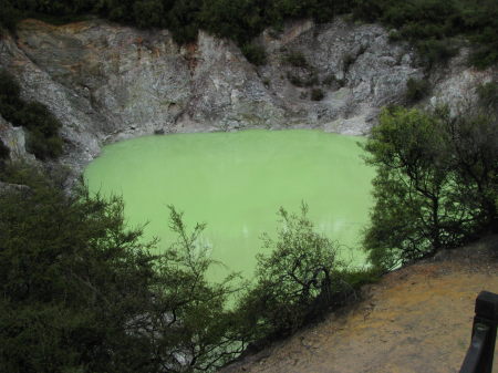 nz16.jpg