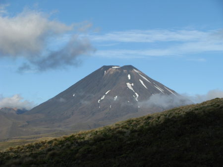 nz22.jpg