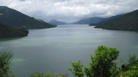 nz37.jpg