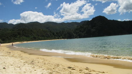 nz42.jpg