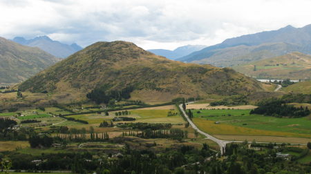 nz51.jpg
