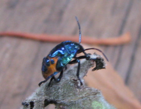 img_7848.jpg
