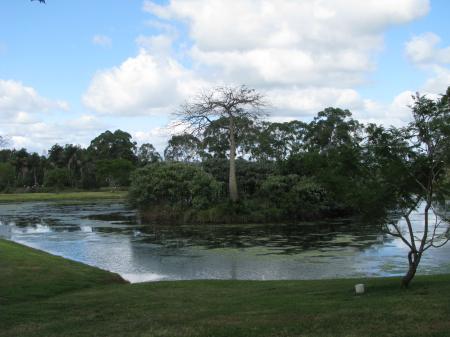 img_8696.jpg