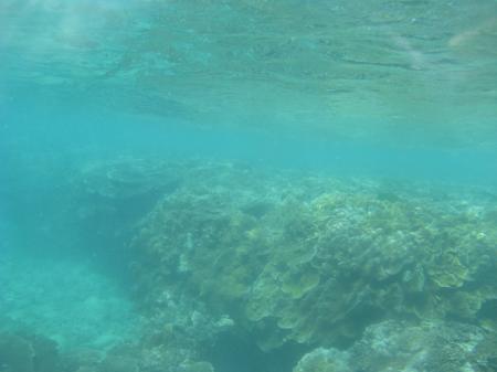 img_8766.jpg