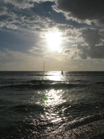 img_8803.jpg